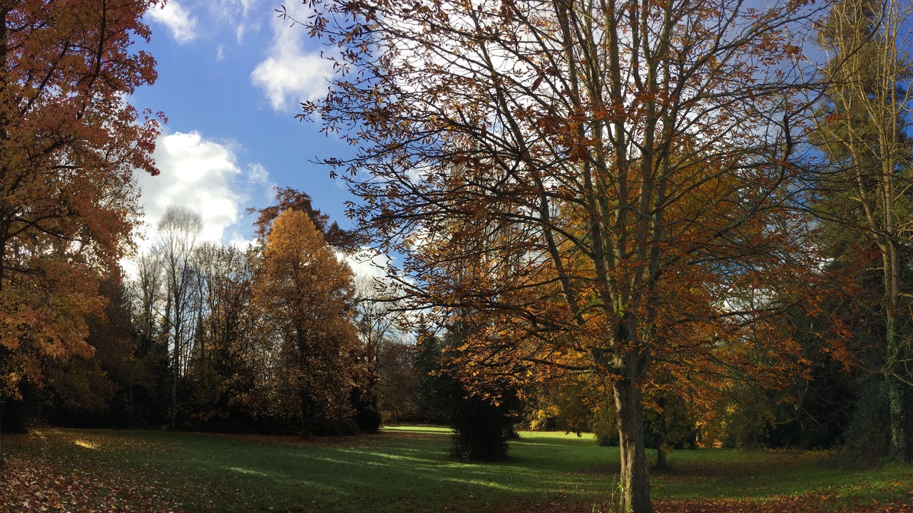 Photo of Outdoor in Ouilly-le-Vicomte