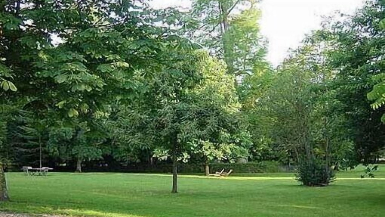 Photo of Outdoor in Ouilly-le-Vicomte