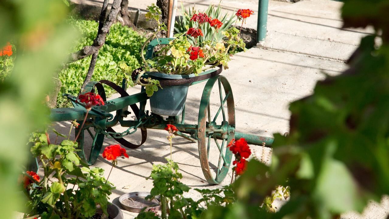 Photo of Outdoor in Sibenik