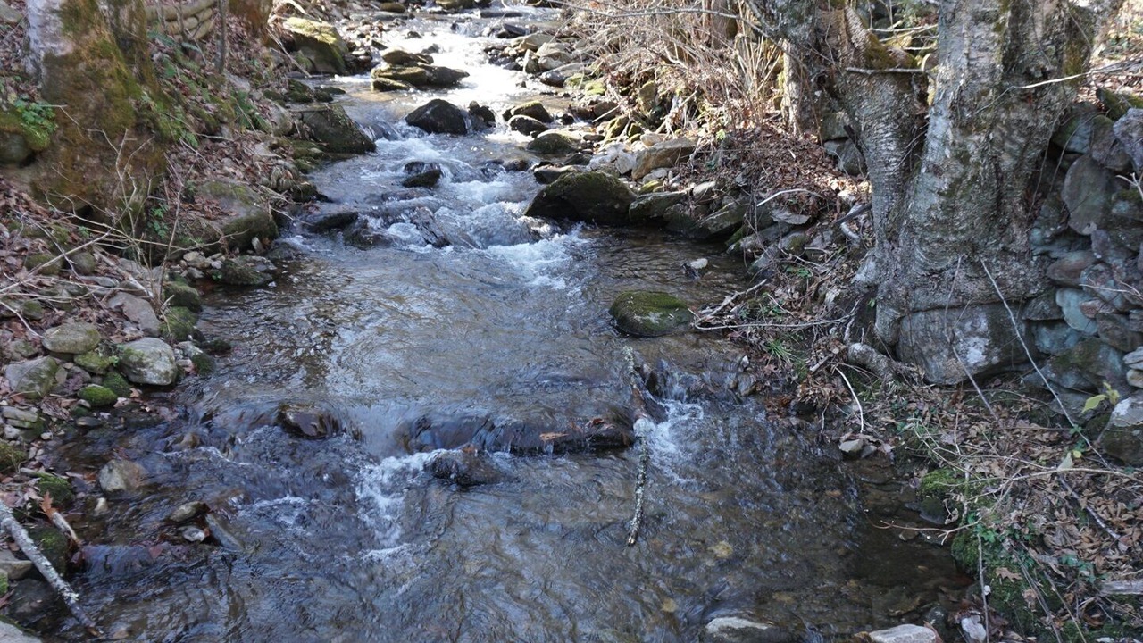 Photo of Others in Burnsville