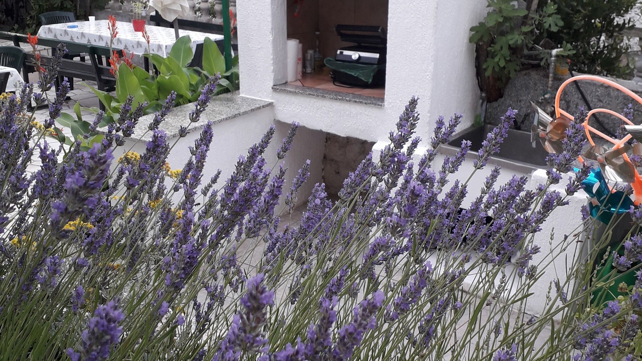 Photo of Outdoor in Palit