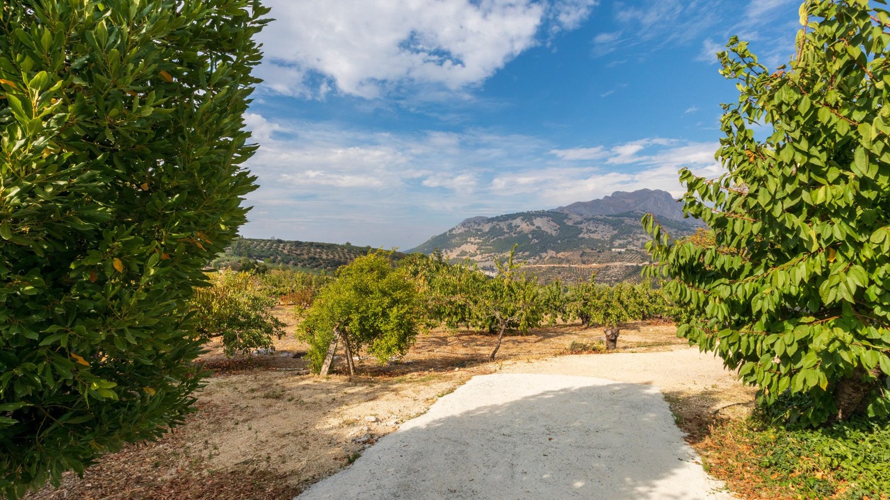 Photo of Outdoor in Torres