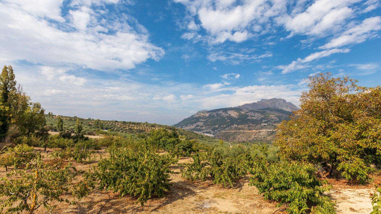 Photo of Outdoor in Torres
