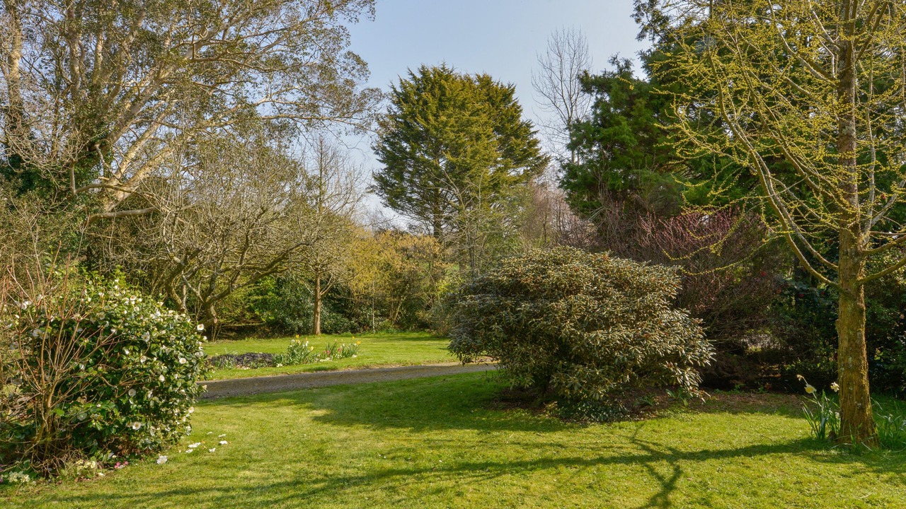 Photo of Outdoor in Pelynt