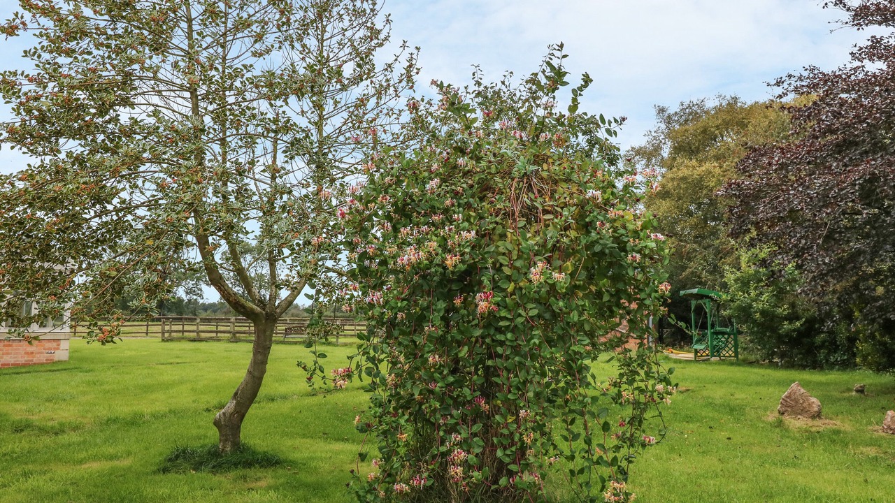 Photo of Outdoor in Forsbrook