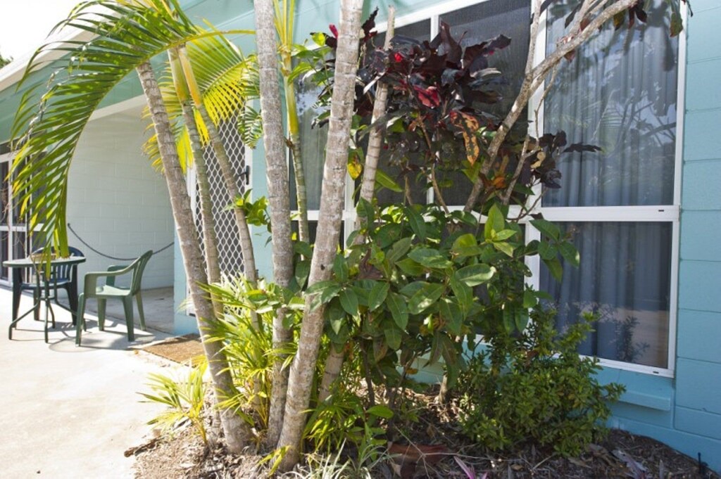 Photo of Buildings in Arcadia