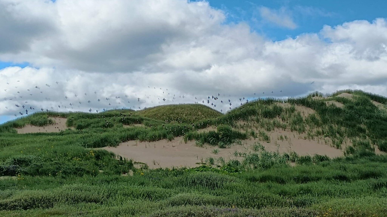 Photo of Others in Nørre Fjand