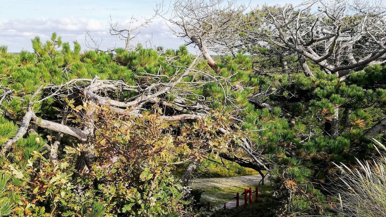 Photo of Others in Nørre Fjand