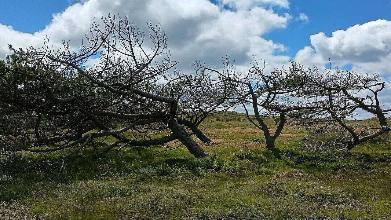 Photo of Others in Nørre Fjand