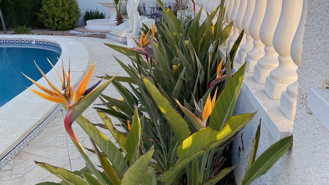 Photo of Outdoor in San Miguel de Salinas