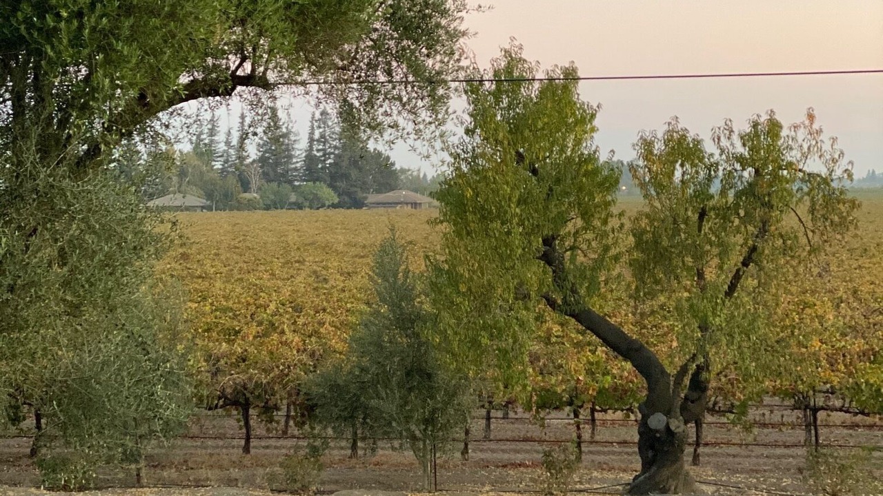 Photo of Others in North Woodbridge