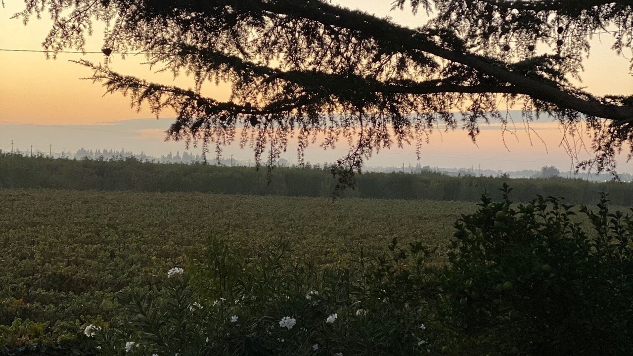 Photo of Others in North Woodbridge