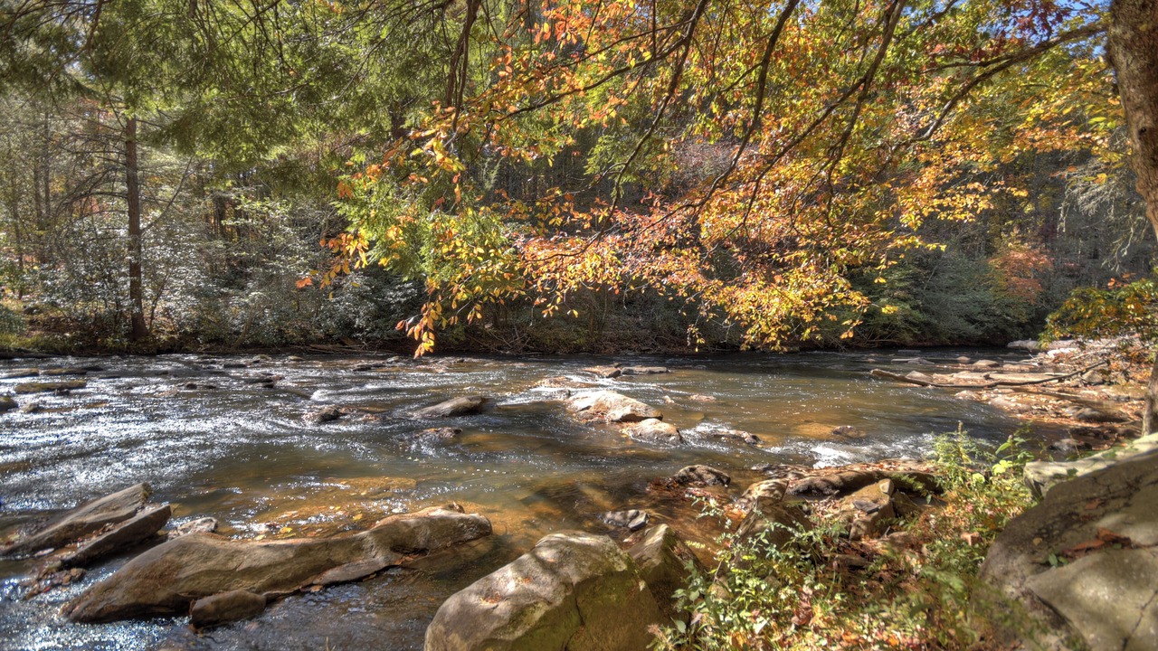 Photo of Others in Epworth