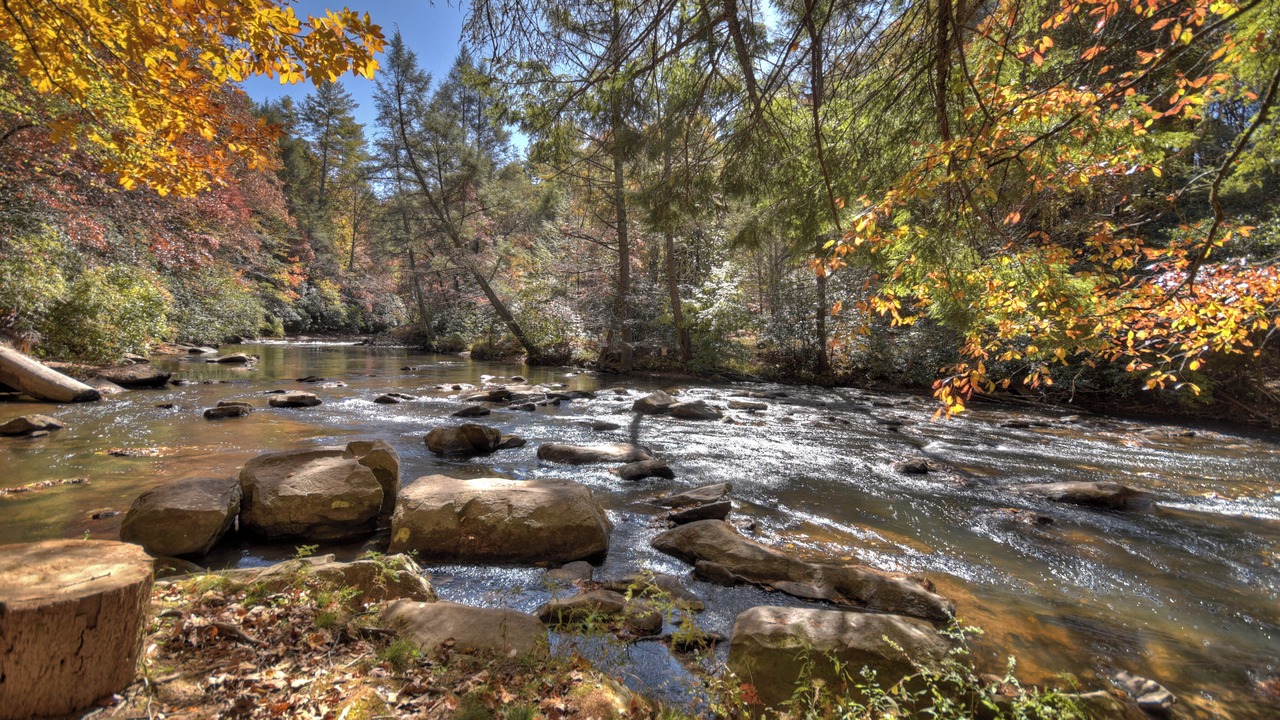 Photo of Others in Epworth