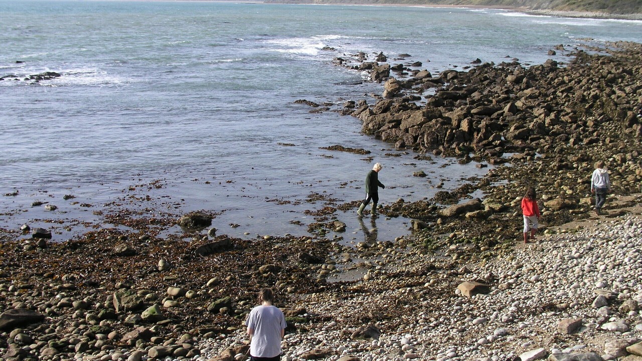 Photo of Others in Littlebredy