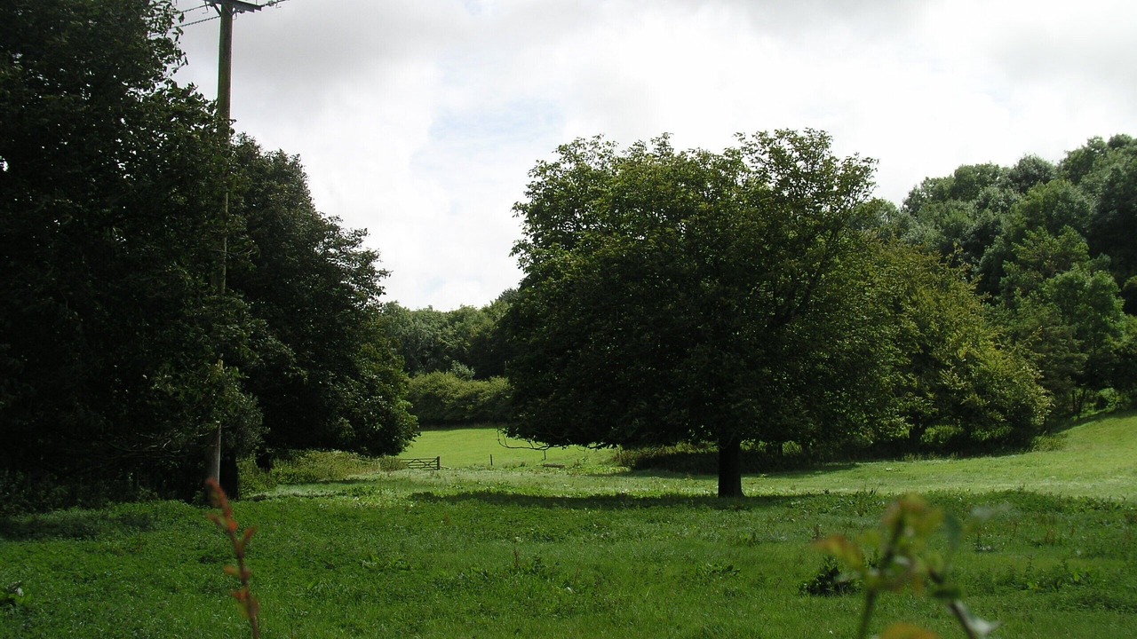 Photo of Outdoor in Littlebredy