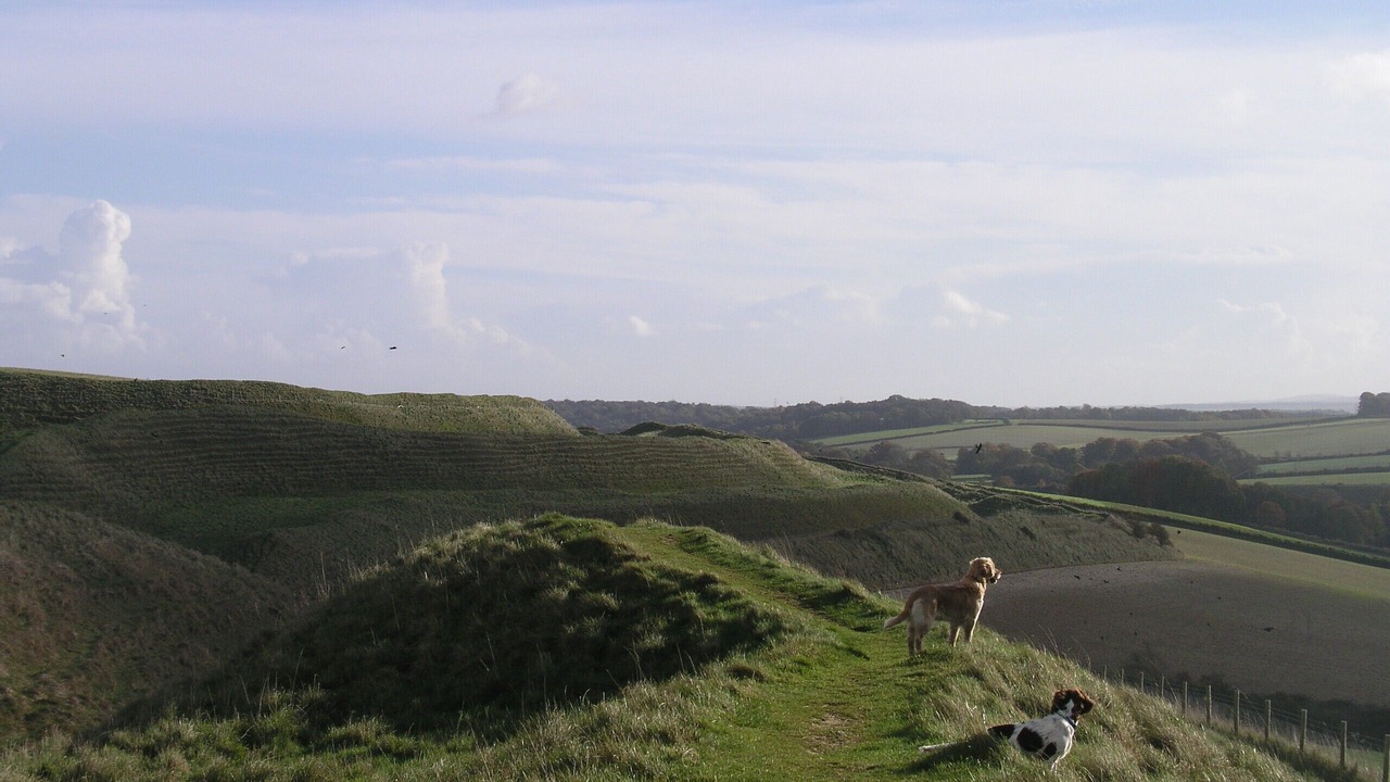 Photo of Outdoor in Littlebredy