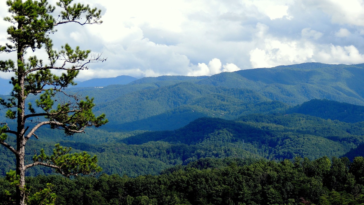 Photo of Others in Sevierville