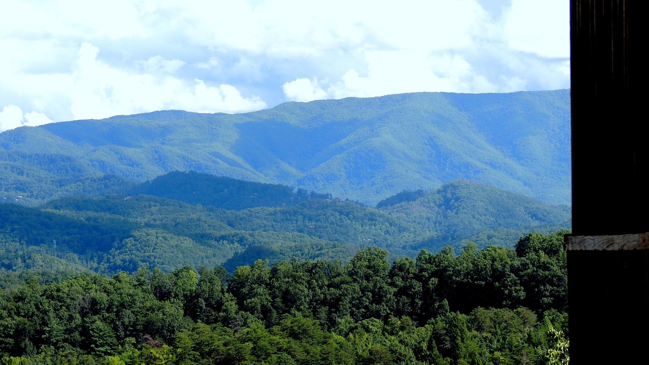 Photo of Others in Sevierville