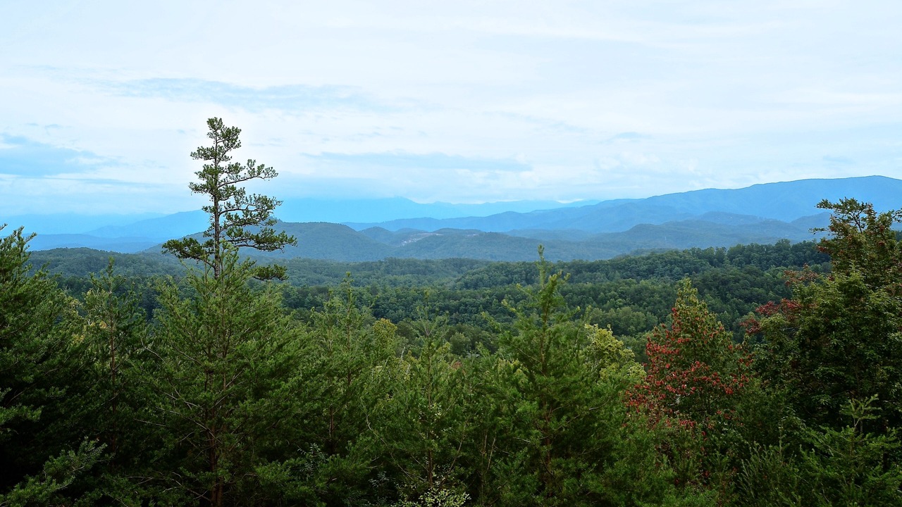 Photo of Others in Sevierville