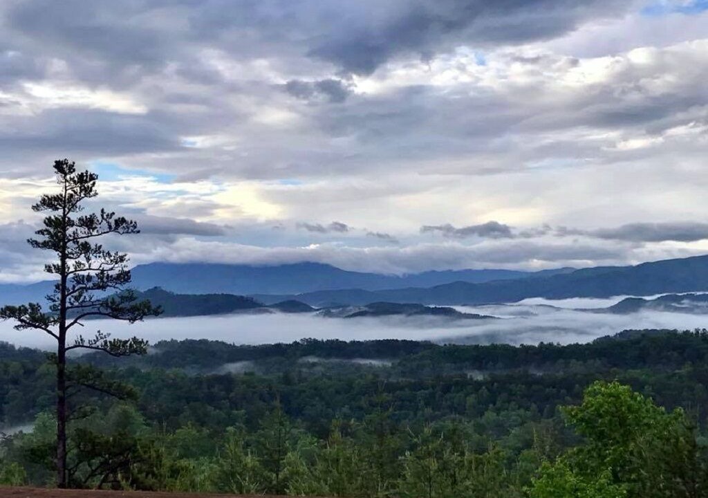 Photo of Others in Sevierville