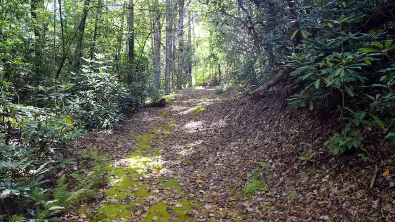 Photo of Outdoor in Blue Ridge