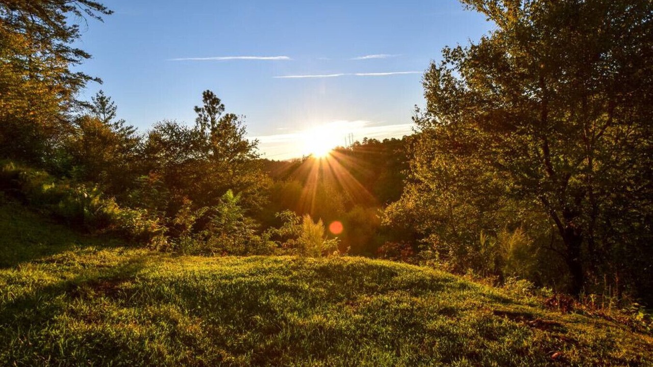 Photo of Others in Blue Ridge