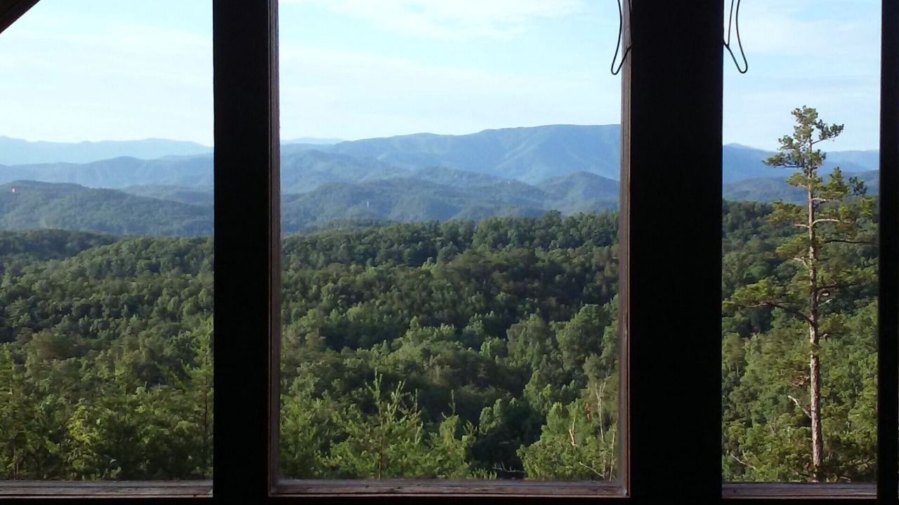Photo of Others in Sevierville