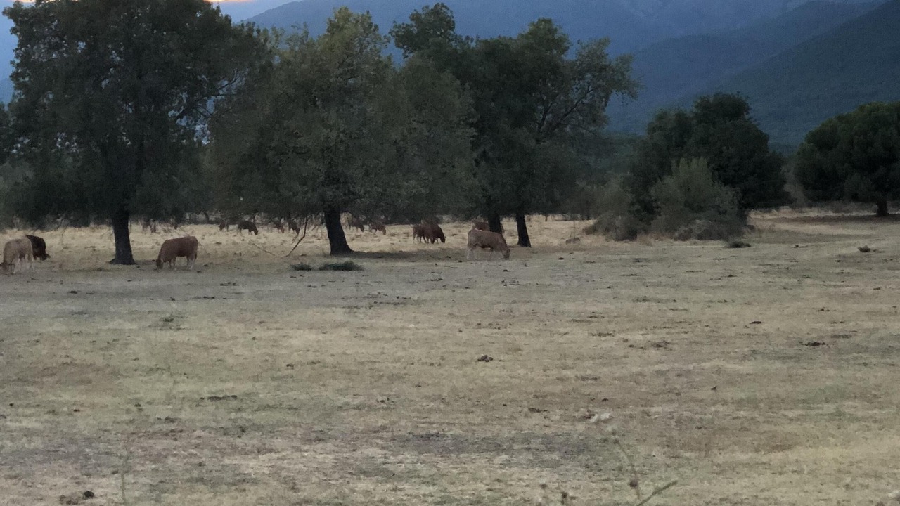 Photo of Outdoor in La Adrada