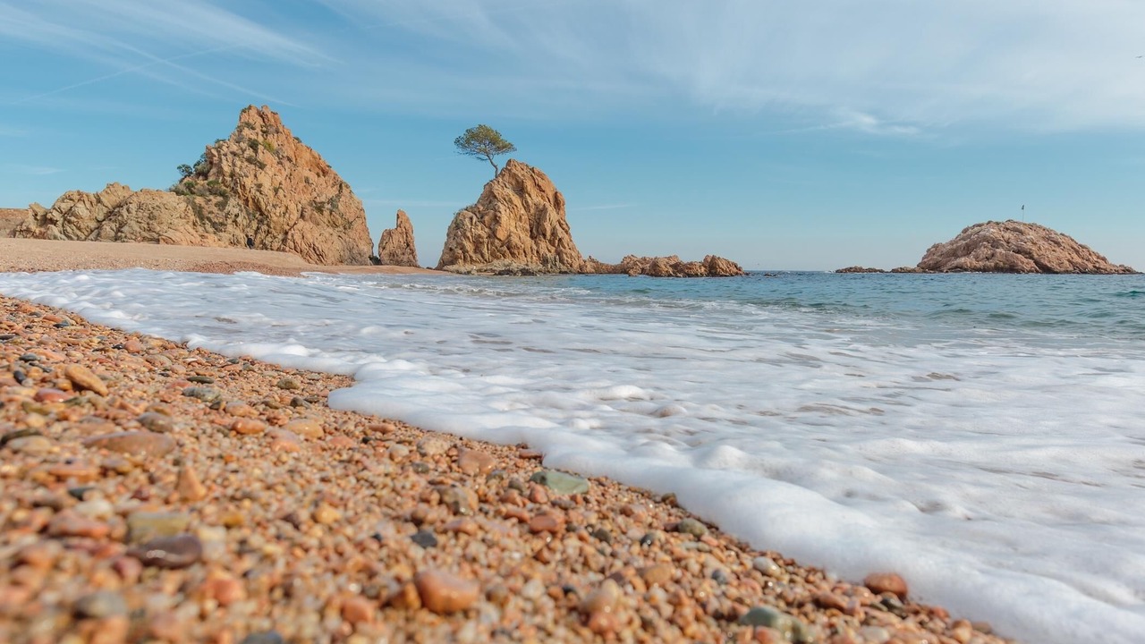 Photo of Others in Tossa de Mar