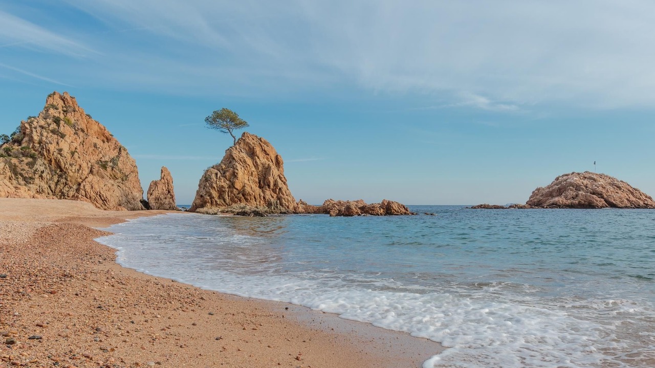 Photo of Others in Tossa de Mar