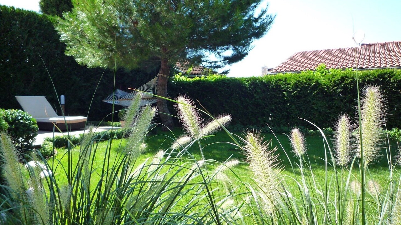 Photo of Outdoor in Dajla