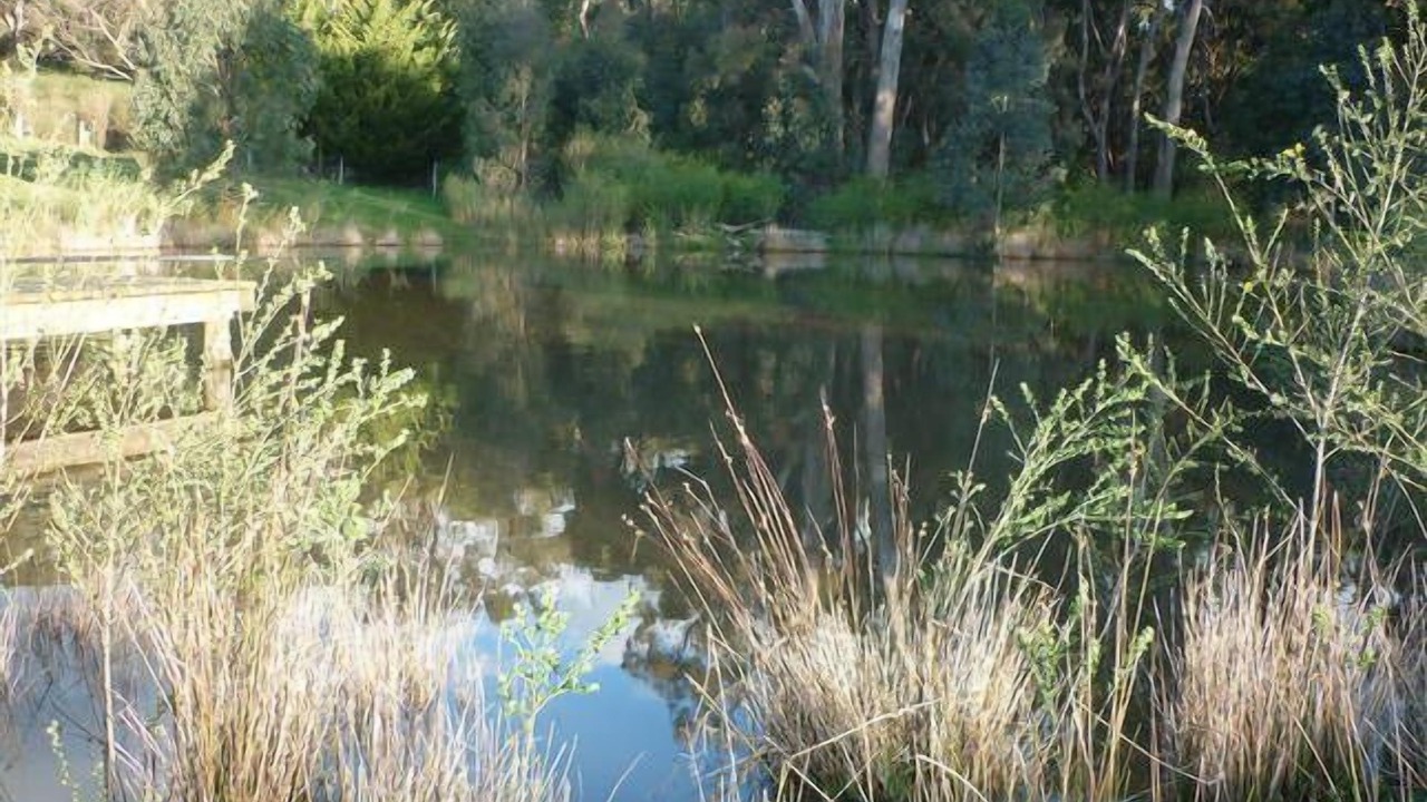 Photo of Outdoor in Daylesford