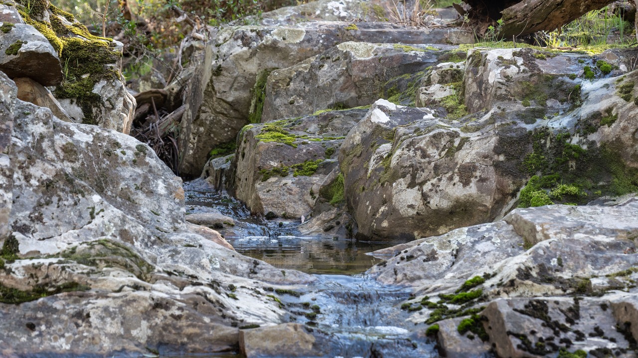 Photo of Outdoor in Daylesford