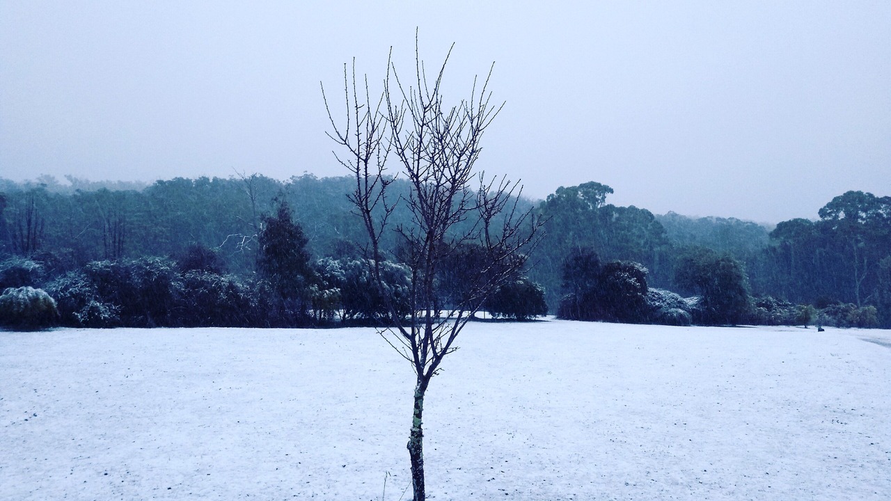 Photo of Others in Daylesford