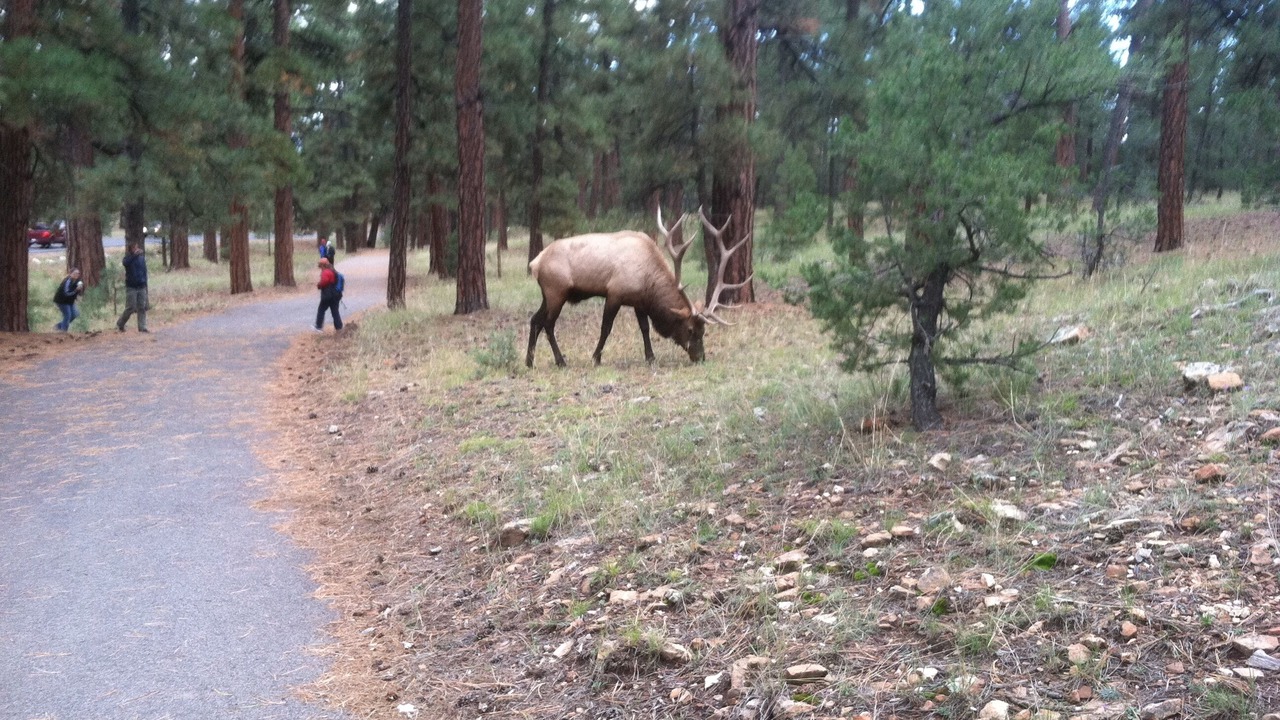 Photo of Others in Williams