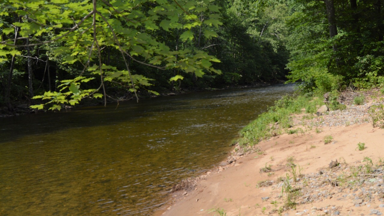 Photo of Outdoor in Elkins