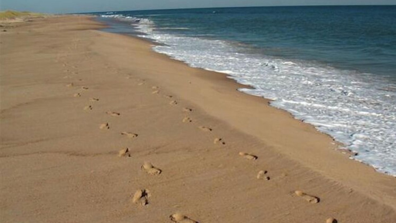 Photo of Others in Katama