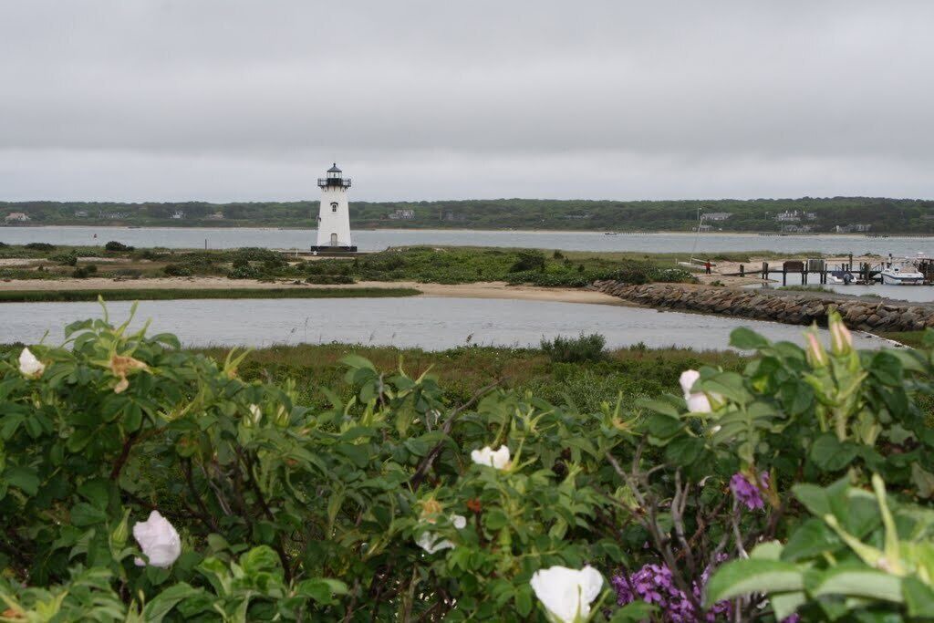 Photo of Others in Katama