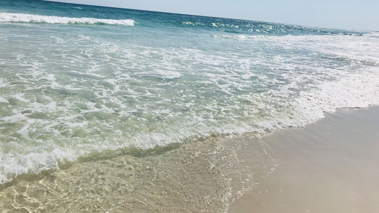 Photo of Others in Fort Walton Beach