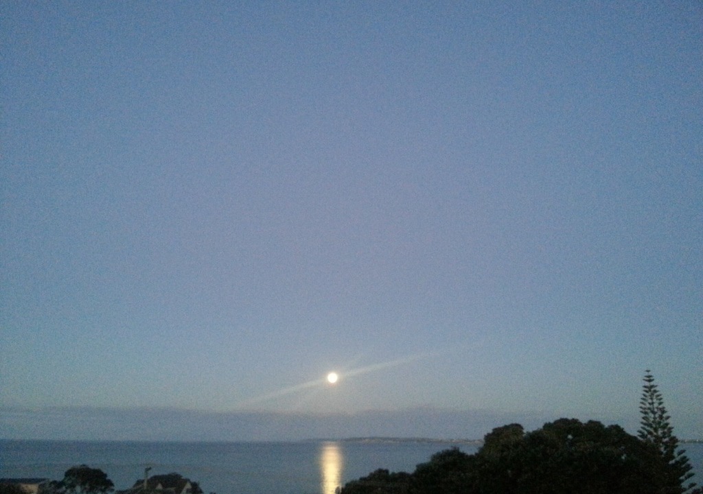 Photo of Others in Hatfields Beach