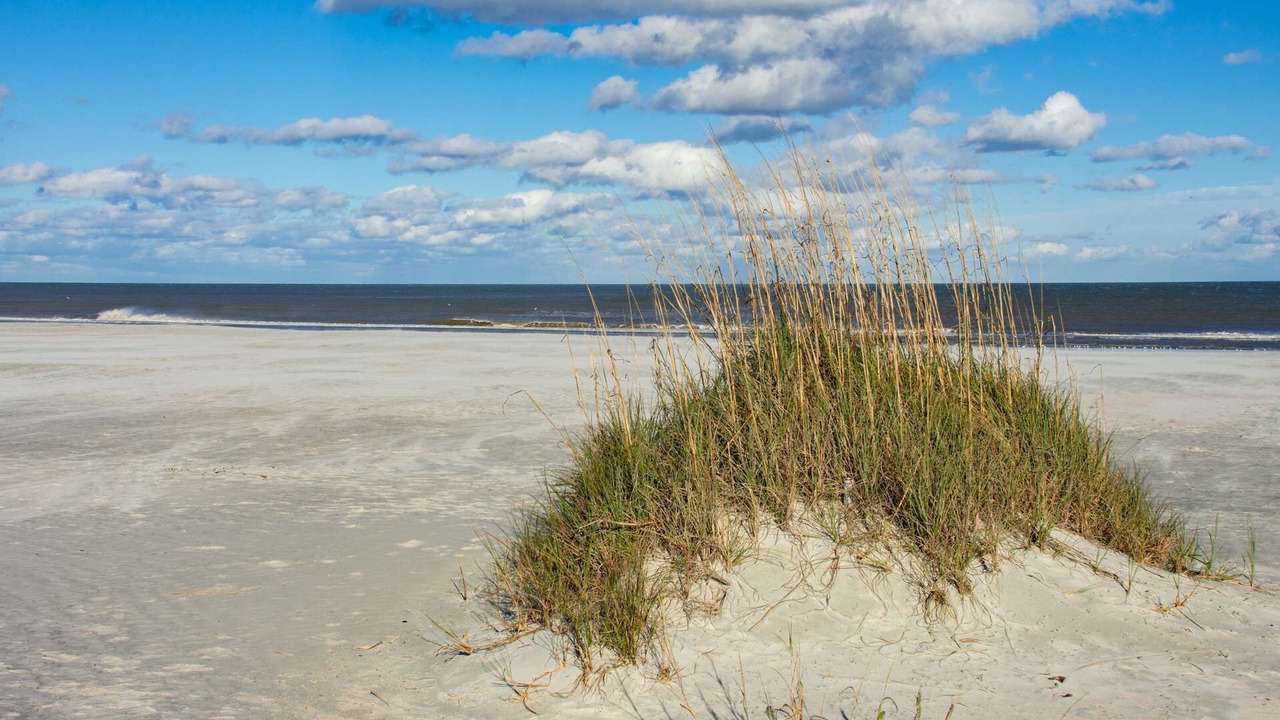 Photo of Others in St. Augustine Beach