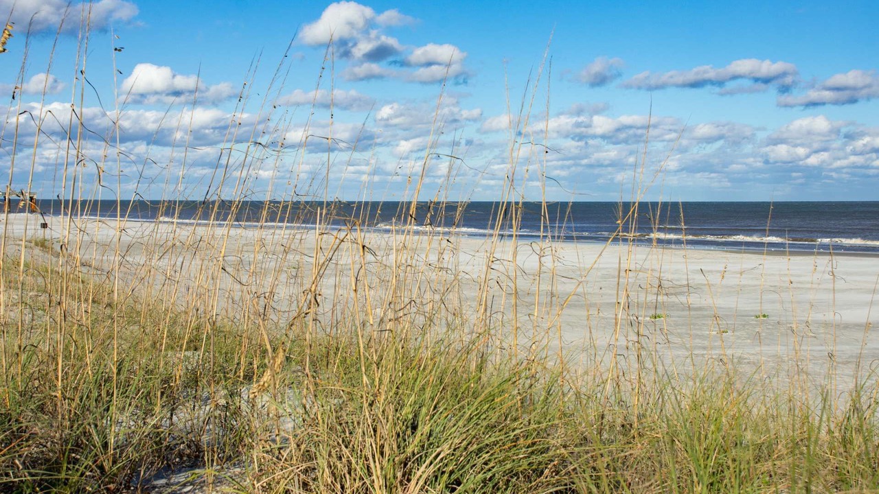 Photo of Others in St. Augustine Beach