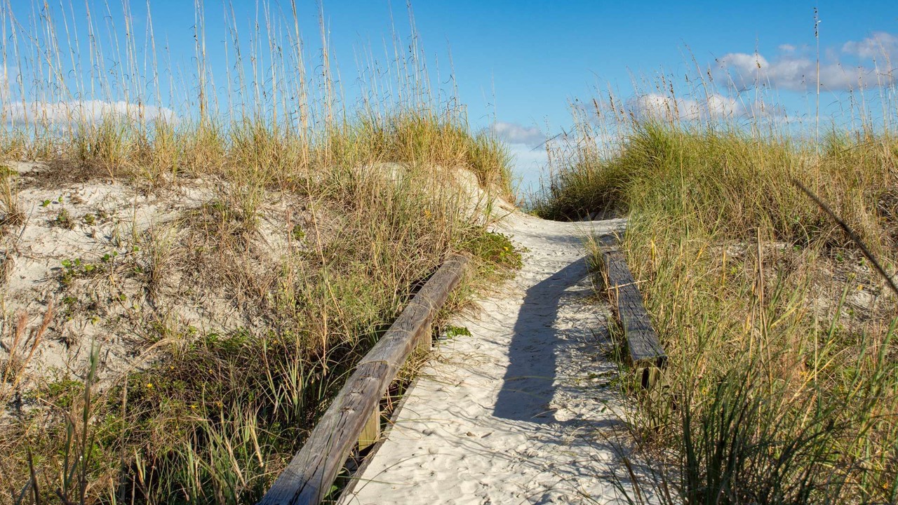 Photo of Others in St. Augustine Beach