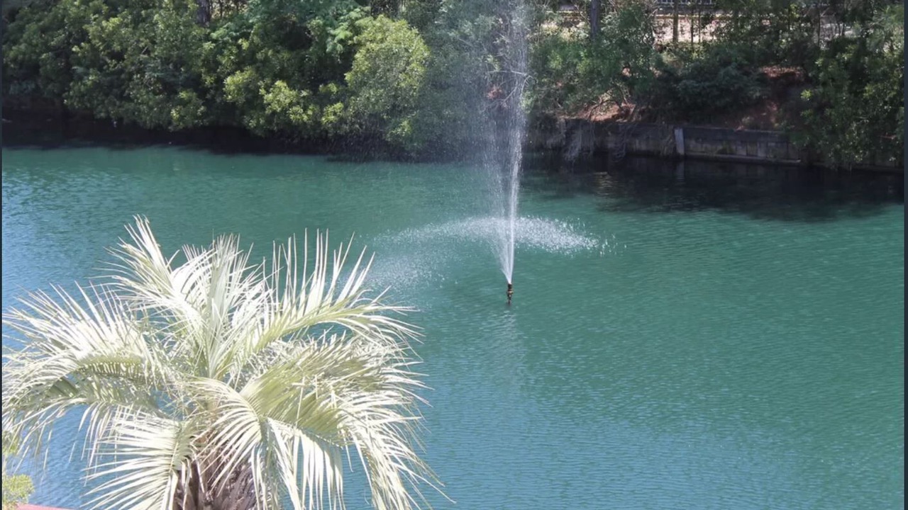 Photo of Outdoor in Gulf Lagoon Beach