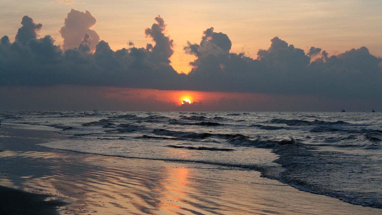 Photo of Others in Galveston