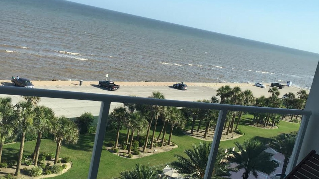 Photo of Others in Galveston