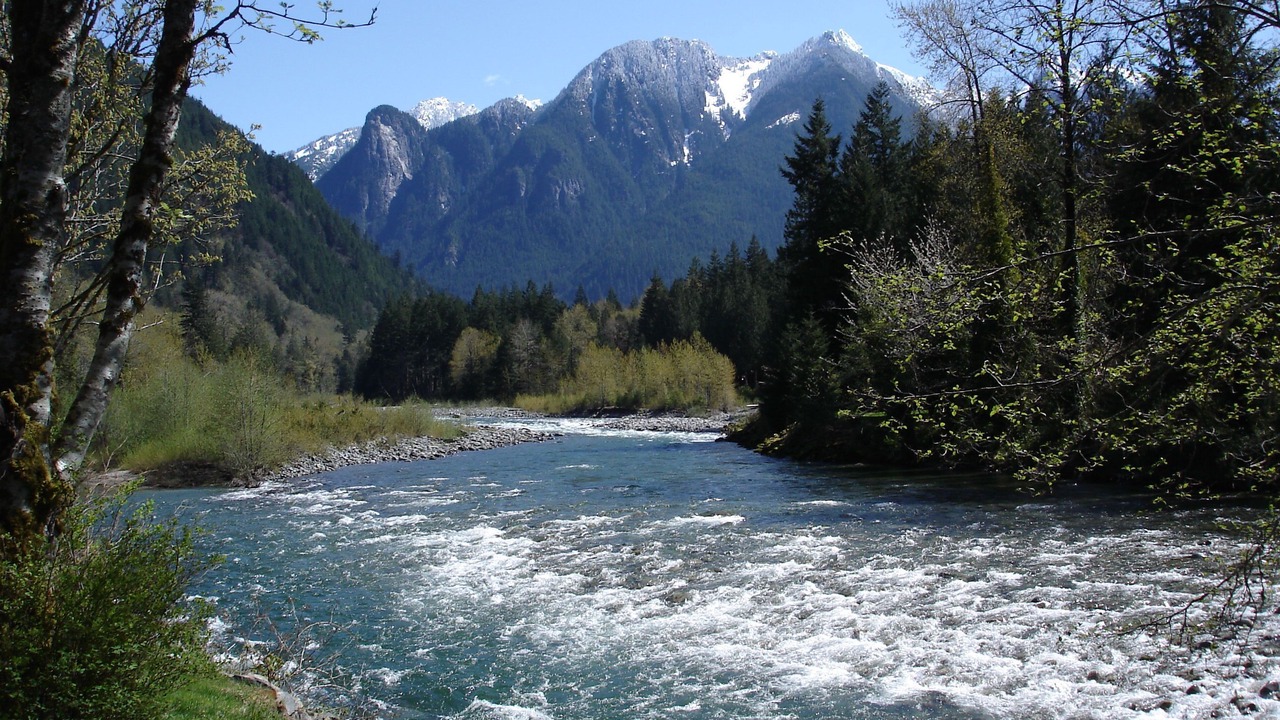 Photo of Others in Index