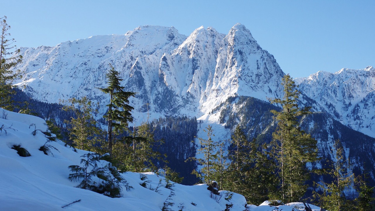 Photo of Others in Index