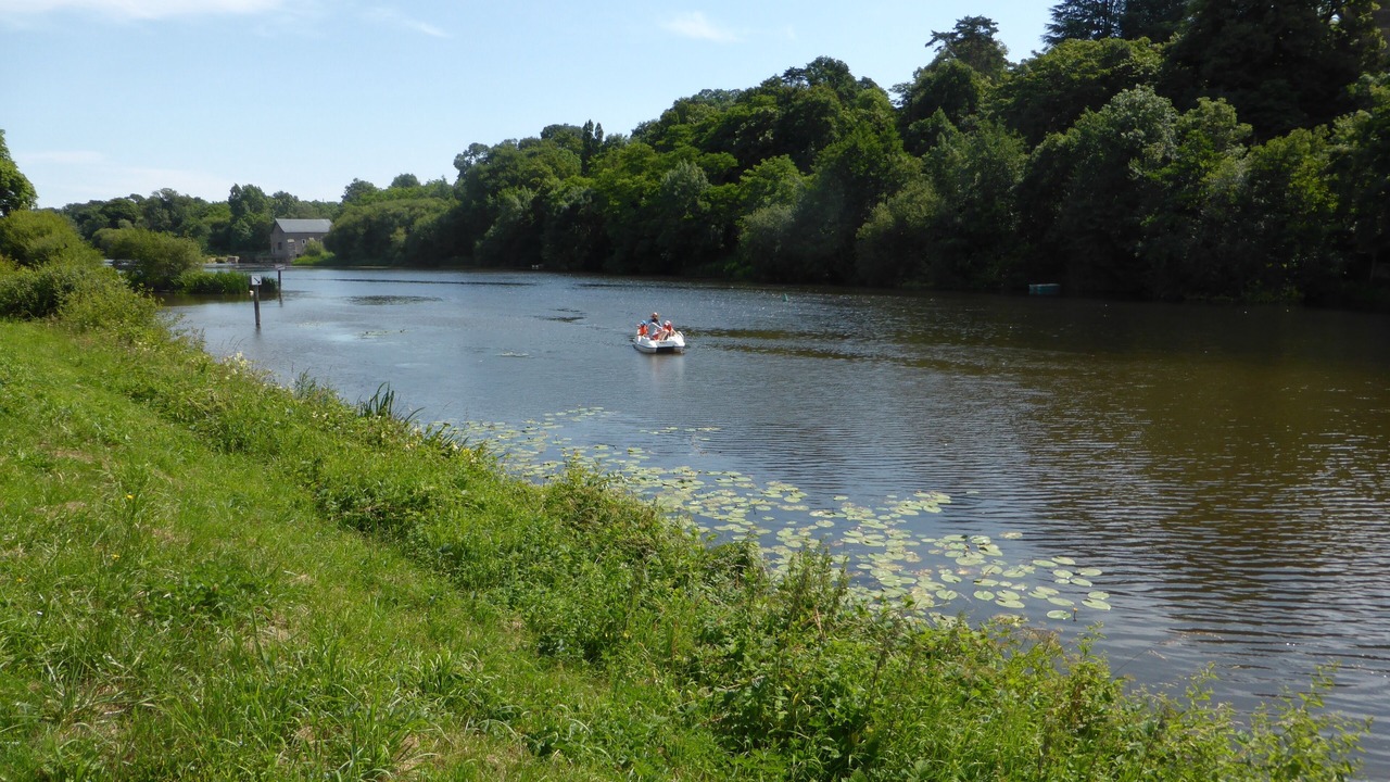 Photo of Others in Menil